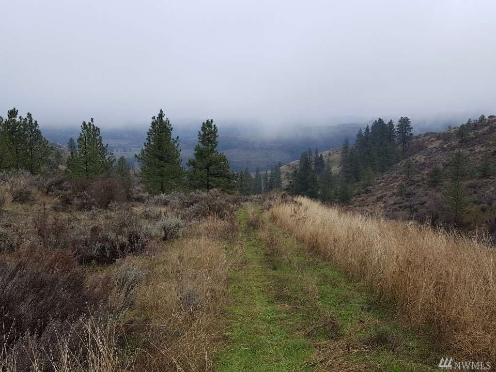 000 Pine Tree Ln - Photo 1