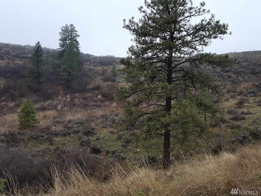 000 Pine Tree Ln - Photo 2