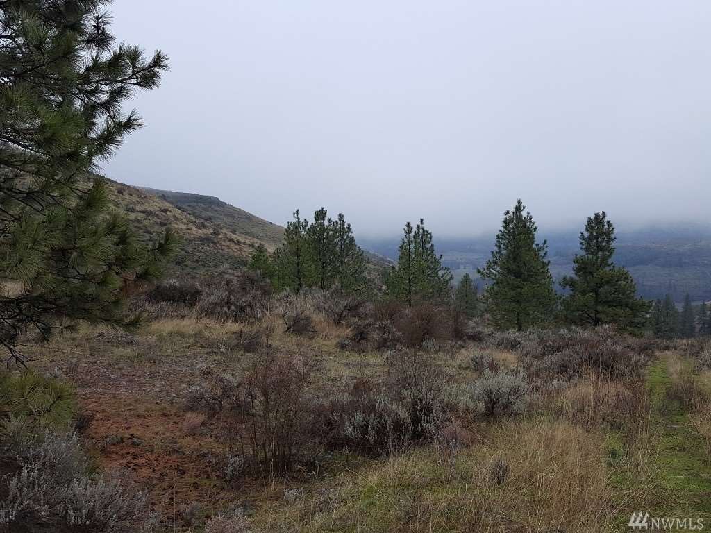 000 Pine Tree Ln - Photo 3