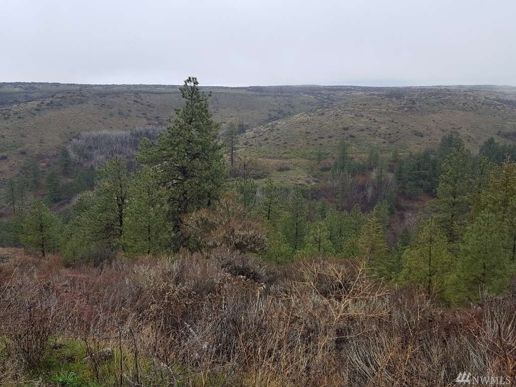 000 Pine Tree Ln - Photo 5