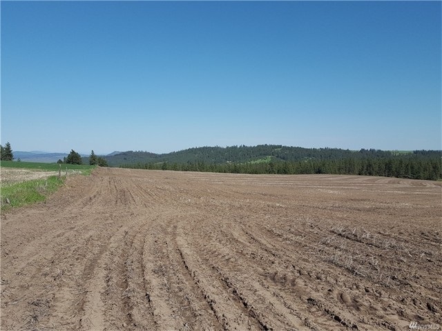TBD N 25 Hwy - Photo 4