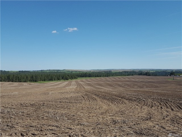 TBD N 25 Hwy - Photo 5