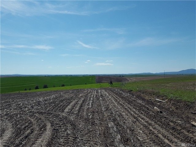 TBD N 25 Hwy - Photo 6