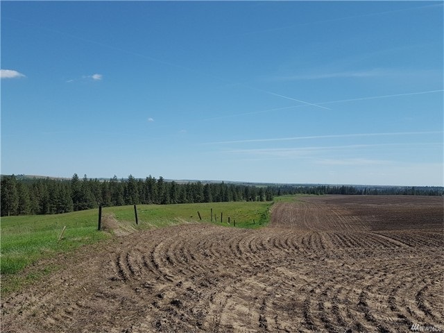 TBD N 25 Hwy - Photo 7
