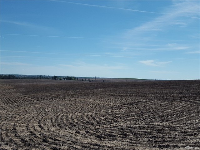 TBD N 25 Hwy - Photo 8