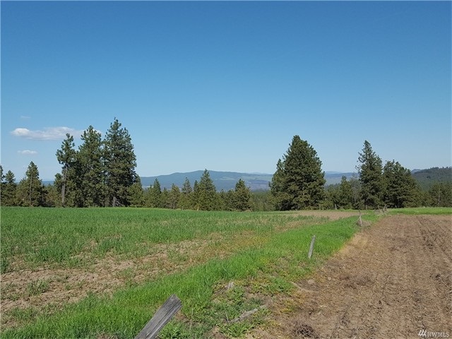 TBD N 25 Hwy - Photo 10