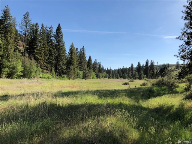 TBD N Welch Creek Rd - Photo 2