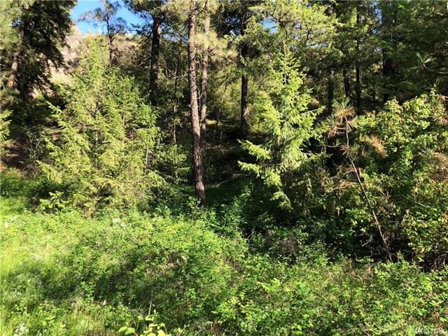 TBD N Welch Creek Rd - Photo 11
