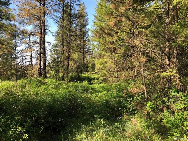 TBD N Welch Creek Rd - Photo 12