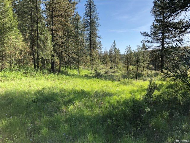 TBD N Welch Creek Rd - Photo 13