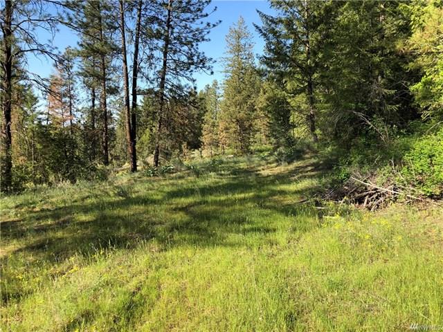 TBD N Welch Creek Rd - Photo 14