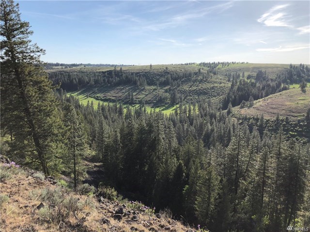 TBD N Welch Creek Rd - Photo 15