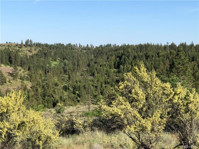 TBD N Welch Creek Rd - Photo 17