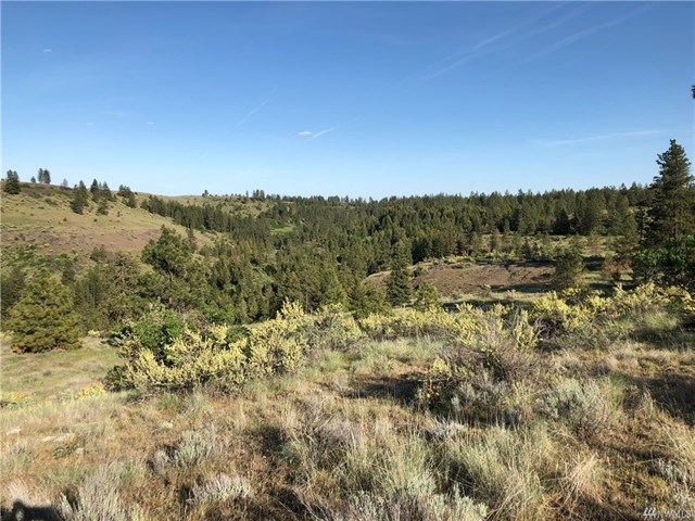 TBD N Welch Creek Rd - Photo 18