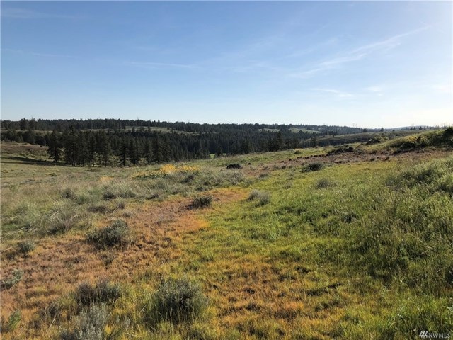 TBD N Welch Creek Rd - Photo 19
