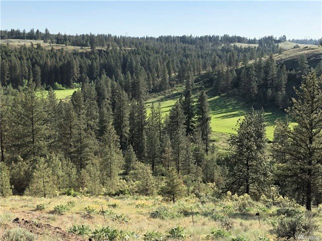 TBD N Welch Creek Rd - Photo 20