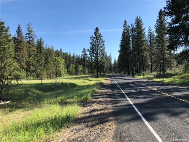 TBD N Welch Creek Rd - Photo 3