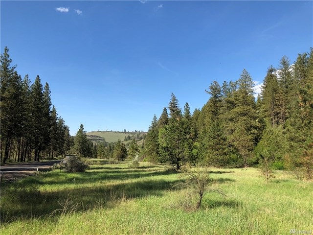 TBD N Welch Creek Rd - Photo 5