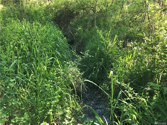 TBD N Welch Creek Rd - Photo 6