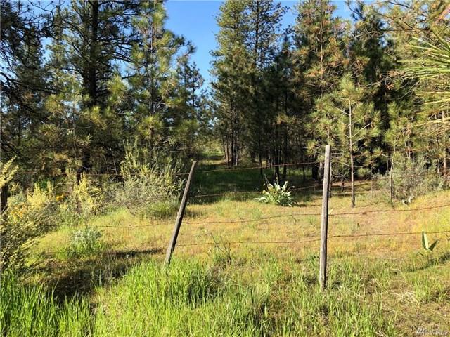 TBD N Welch Creek Rd - Photo 8