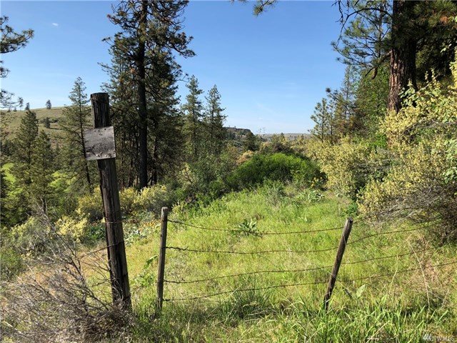 TBD N Welch Creek Rd - Photo 9