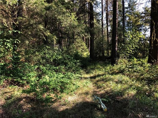 TBD N Welch Creek Rd - Photo 10