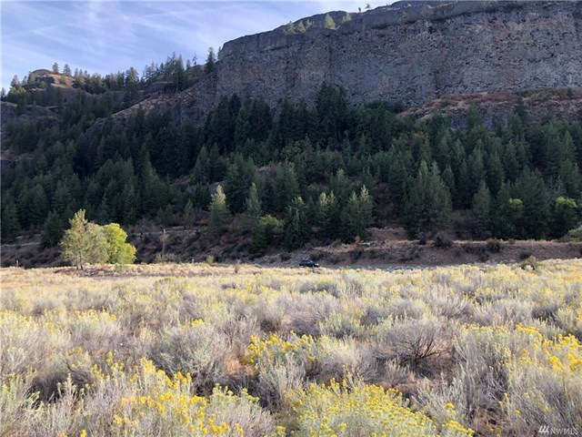 39823 N Redwine Canyon Rd - Photo 11