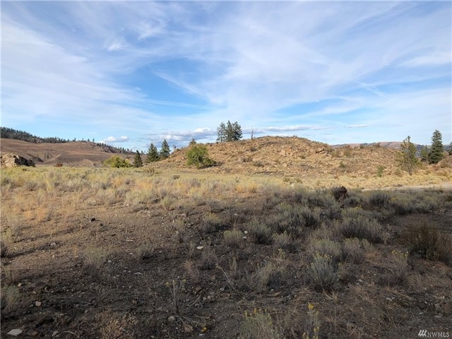 39823 N Redwine Canyon Rd - Photo 7