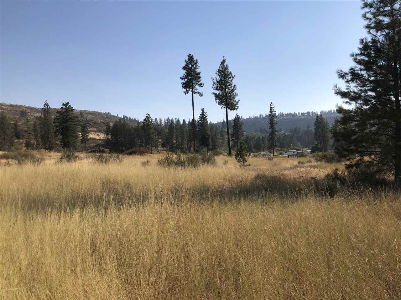 35475 SR 231 Hwy - Photo 1