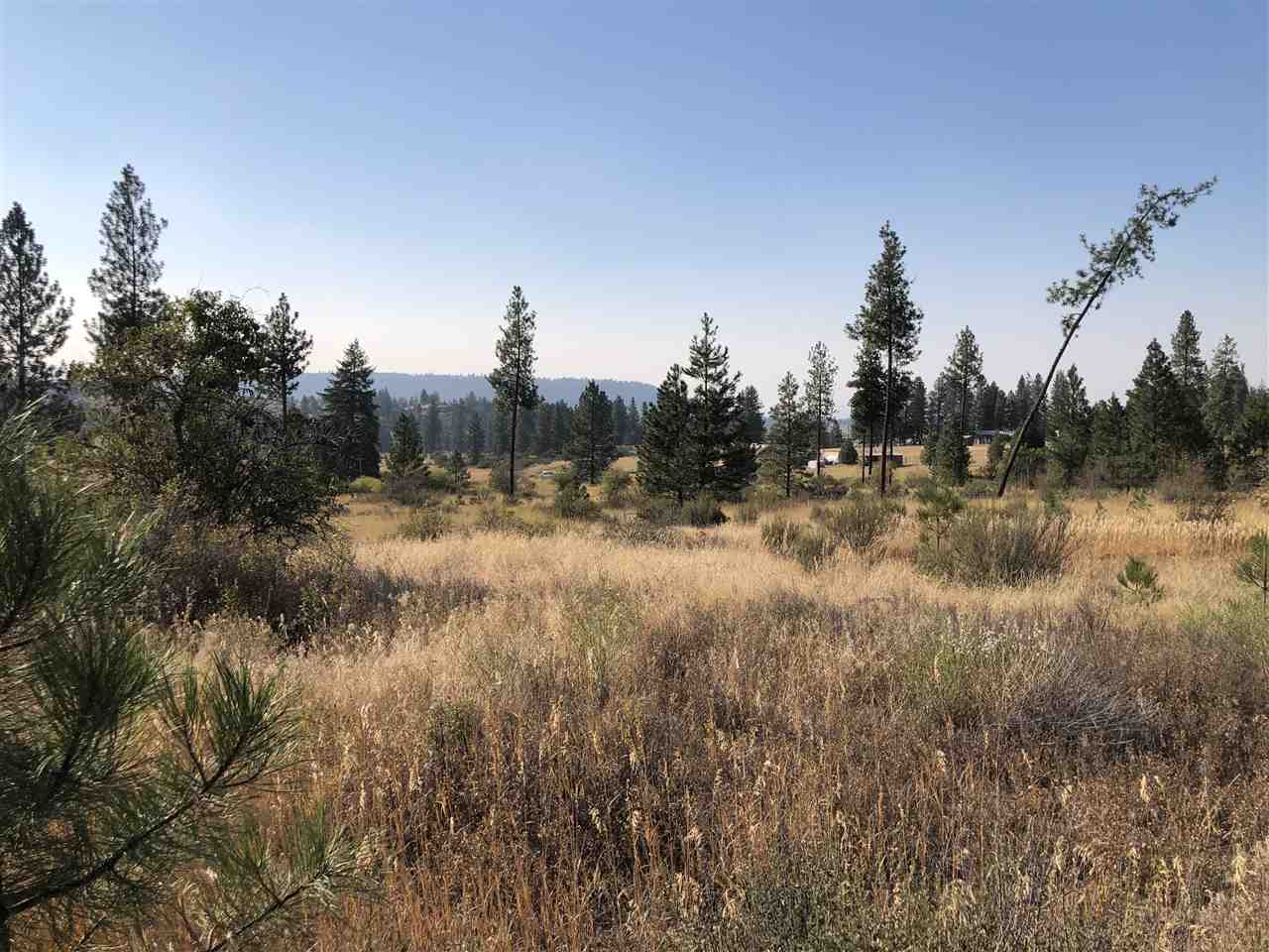35475 SR 231 Hwy - Photo 3