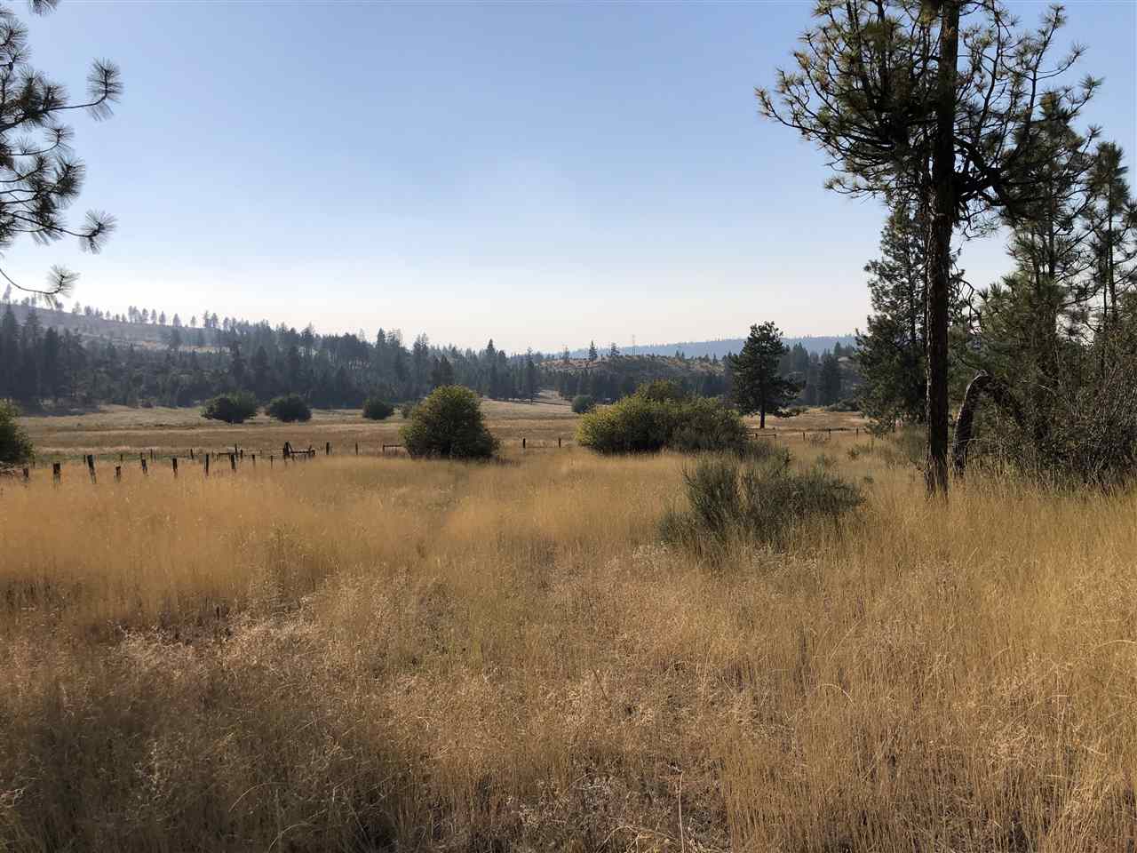 35475 SR 231 Hwy - Photo 4