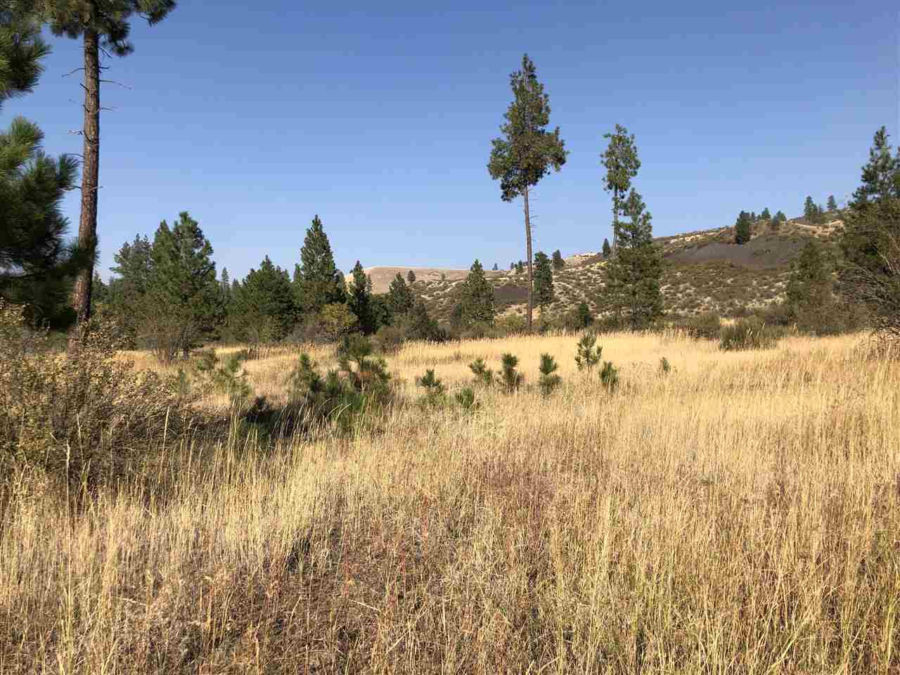 35475 SR 231 Hwy - Photo 6