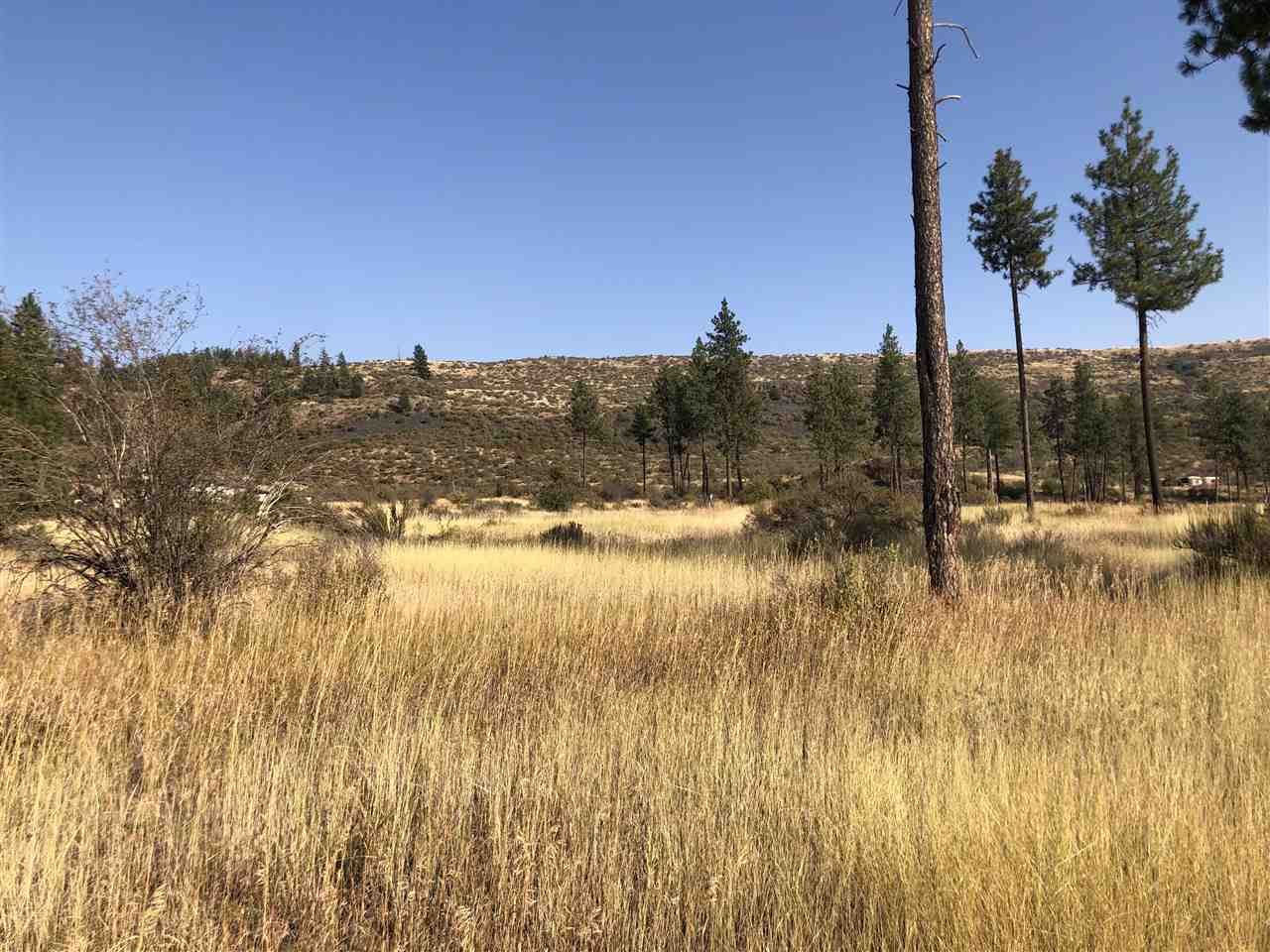 35475 SR 231 Hwy - Photo 7