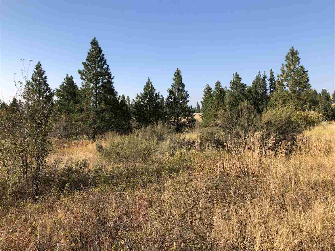 35475 SR 231 Hwy - Photo 8