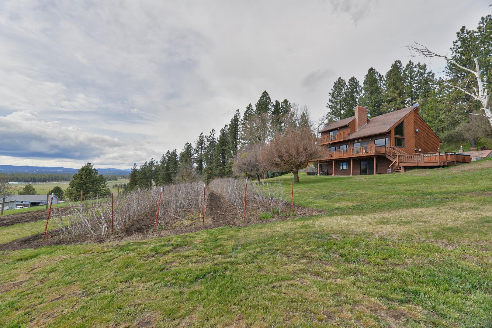 16408 N Greenbluff Rd - Photo 1