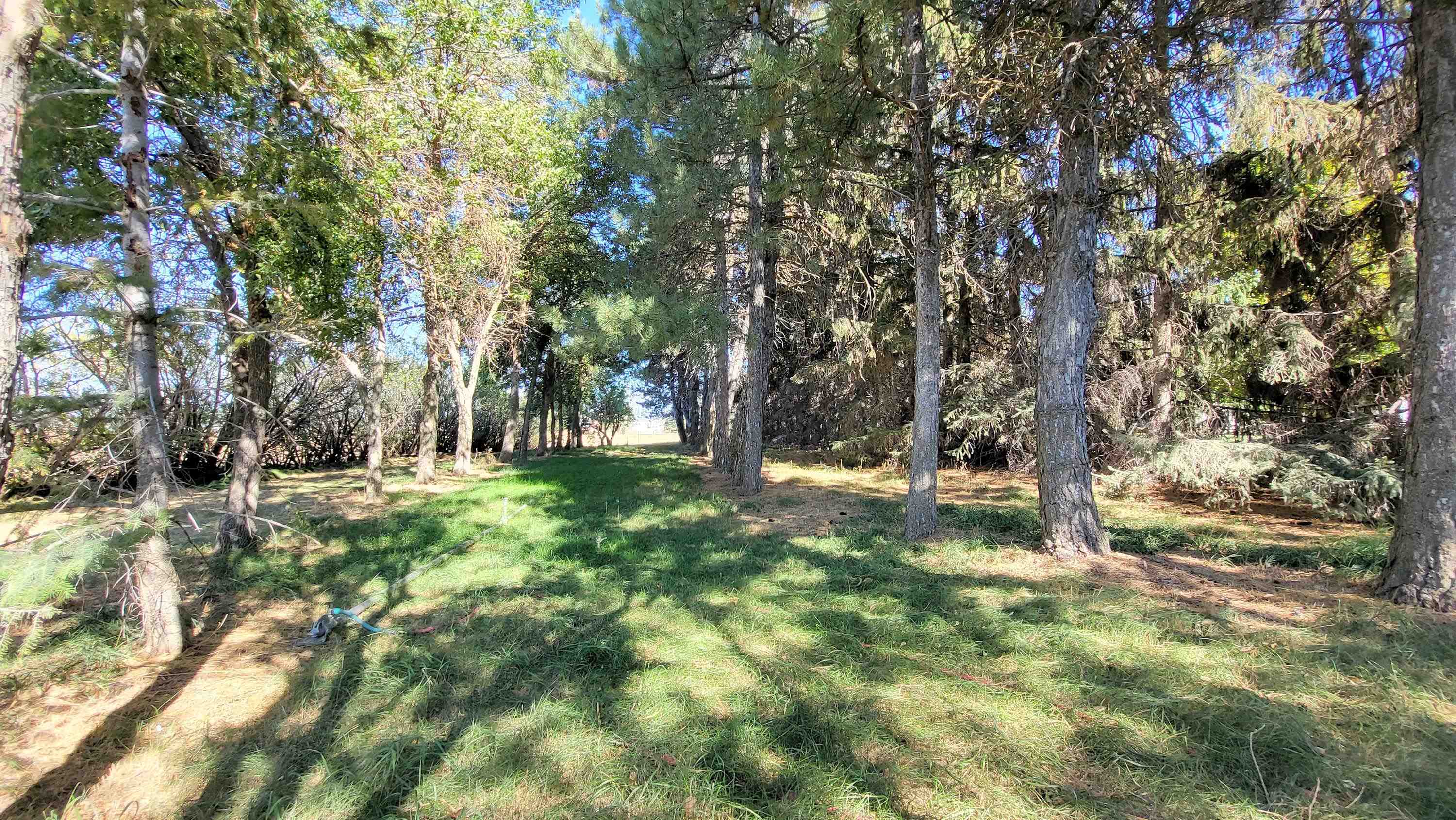 38576 E Fitness Ln - Photo 33