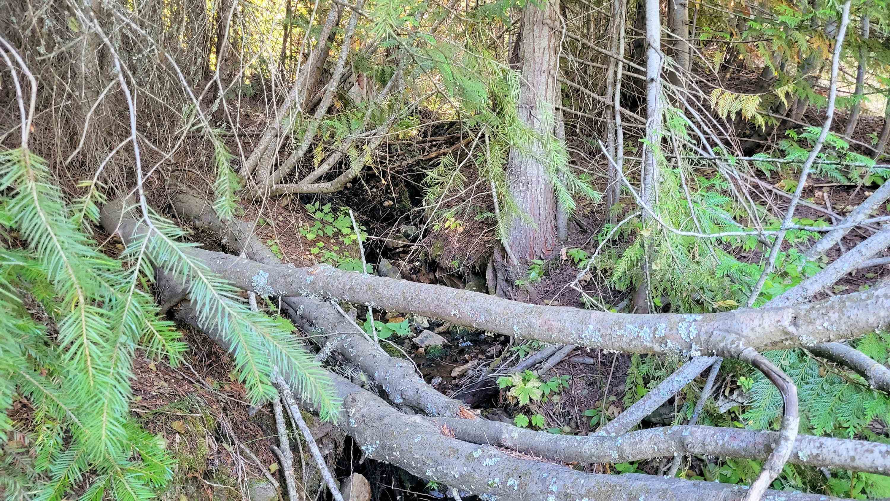 000 Fruitland Valley Rd - Photo 11