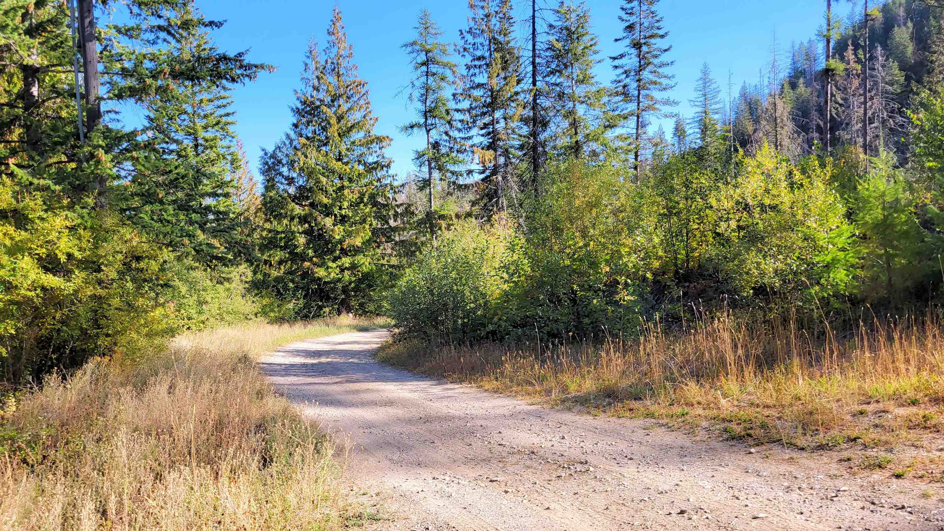 000 Fruitland Valley Rd - Photo 3
