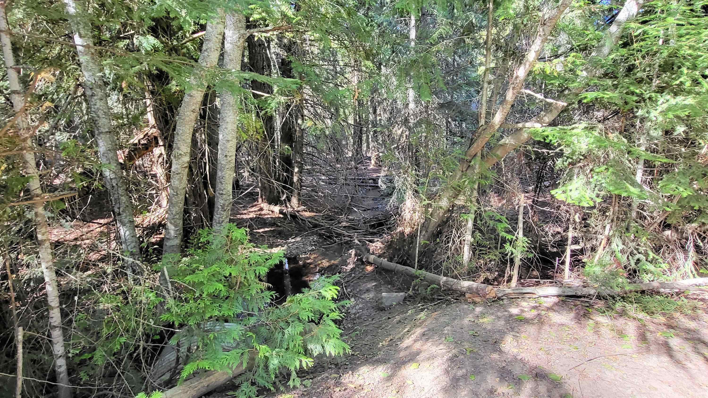 000 Fruitland Valley Rd - Photo 21