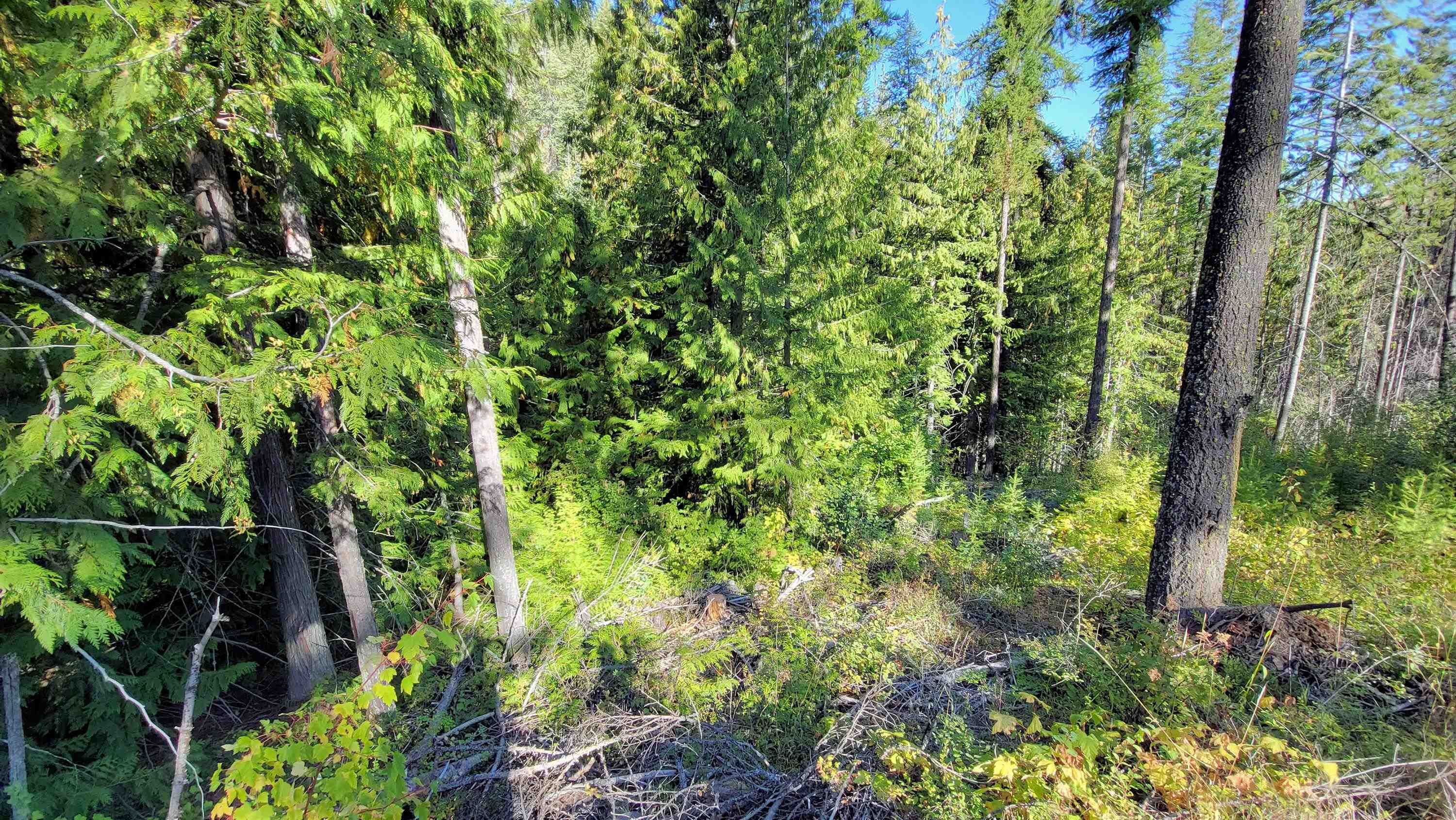 000 Fruitland Valley Rd - Photo 4