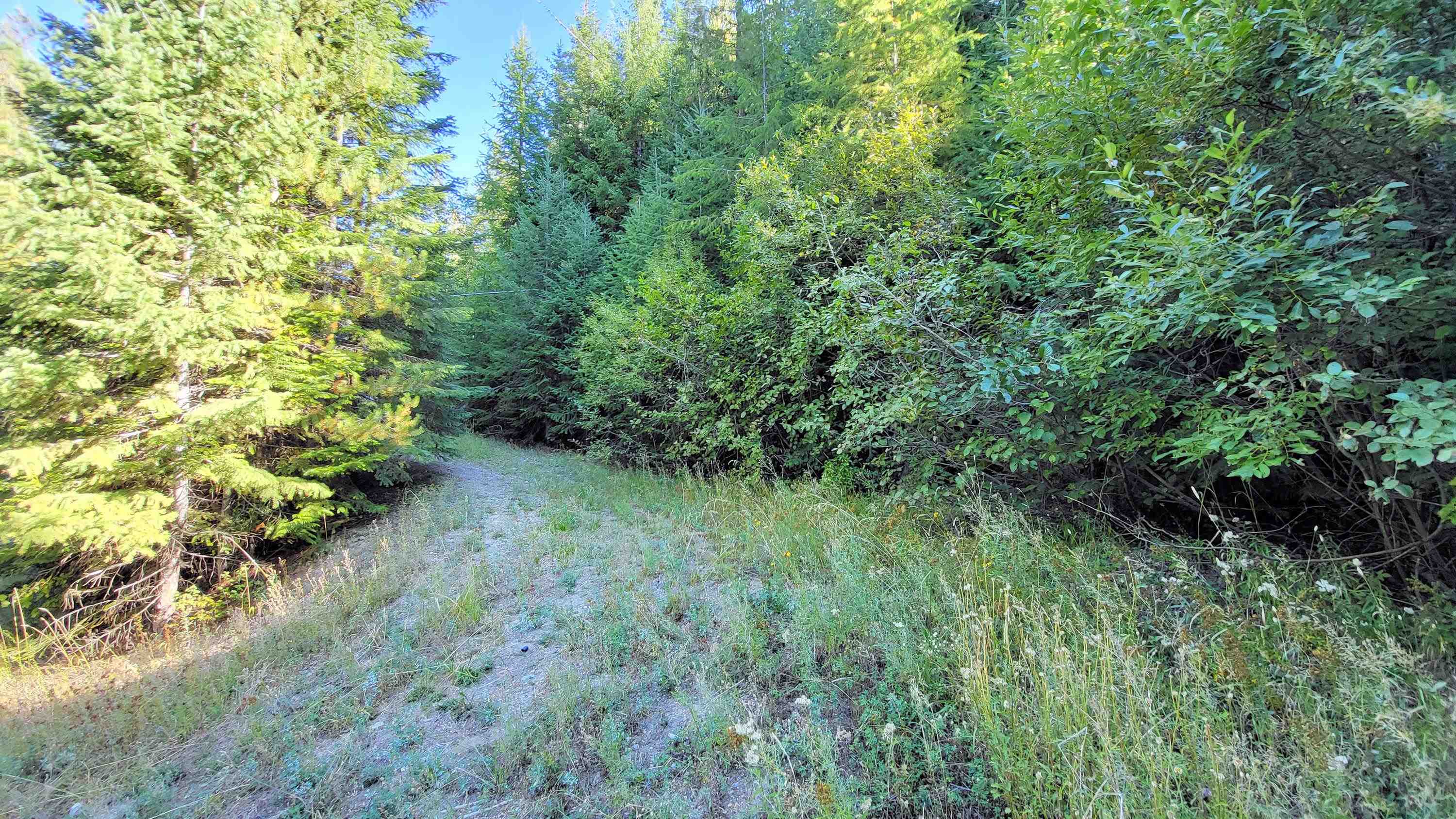 000 Fruitland Valley Rd - Photo 5