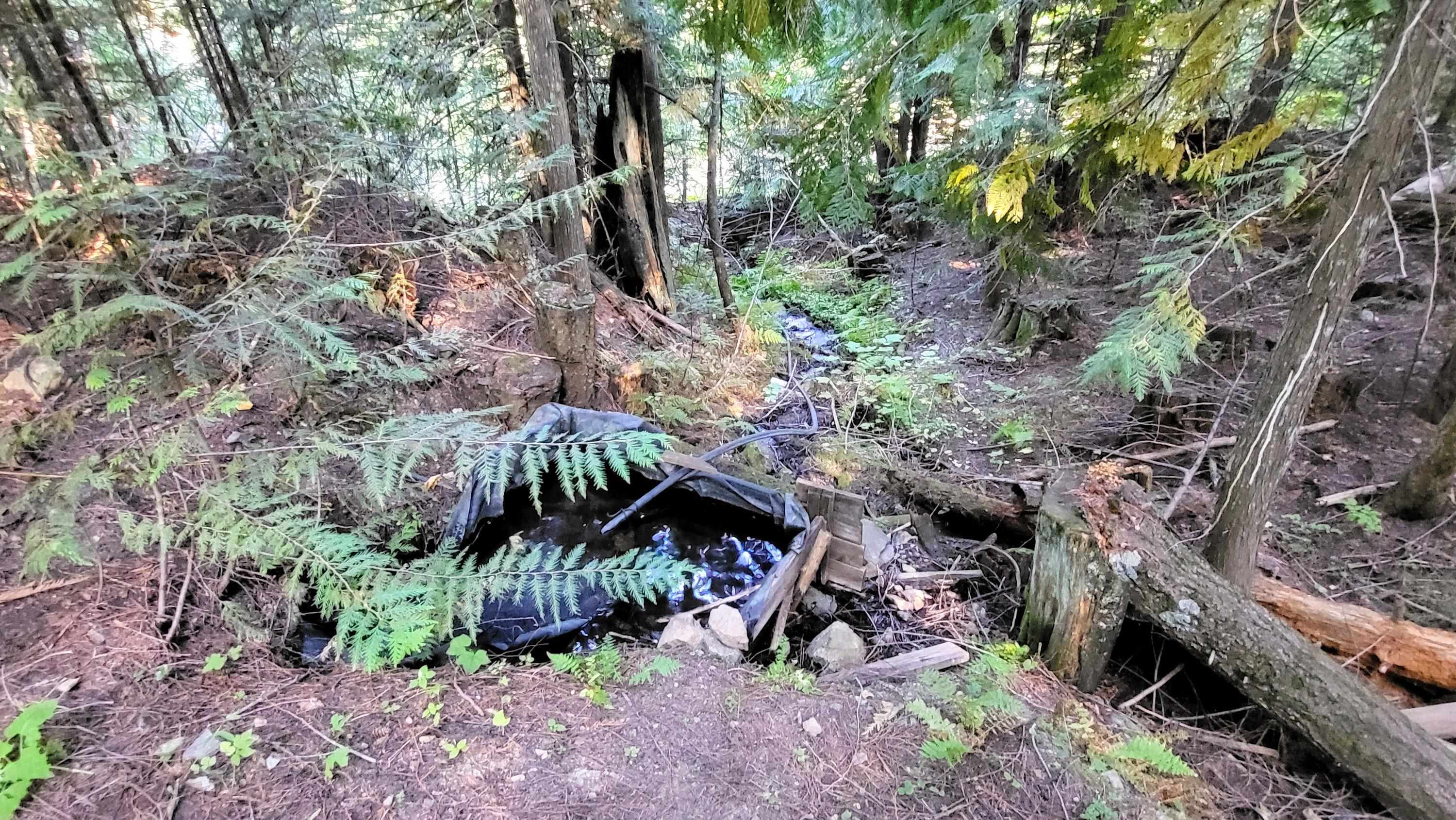 000 Fruitland Valley Rd - Photo 8