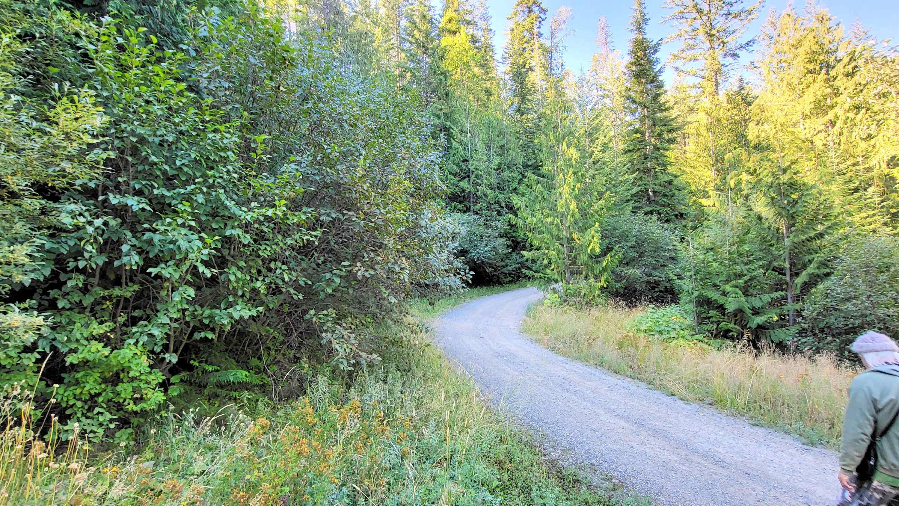 000 Fruitland Valley Rd - Photo 9