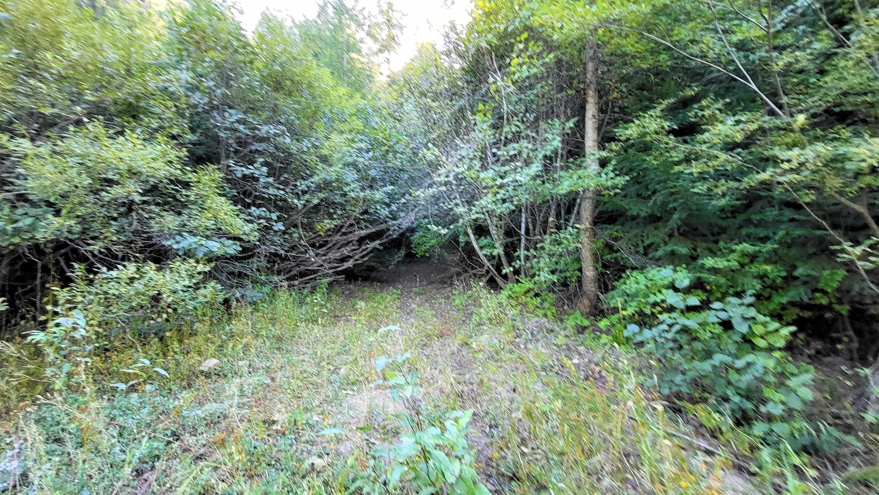 000 Fruitland Valley Rd - Photo 10