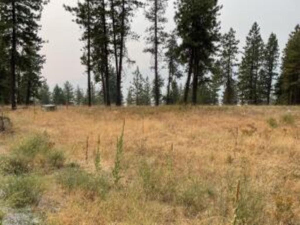 1606 PALMER Loop - Photo 2