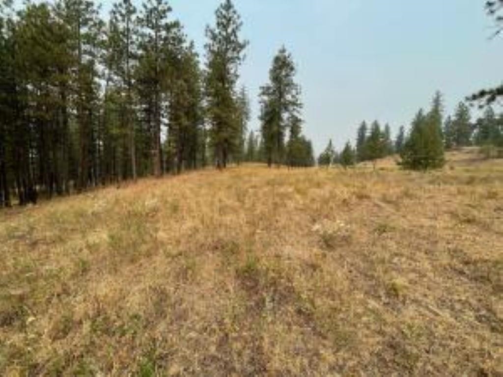 1606 PALMER Loop - Photo 3