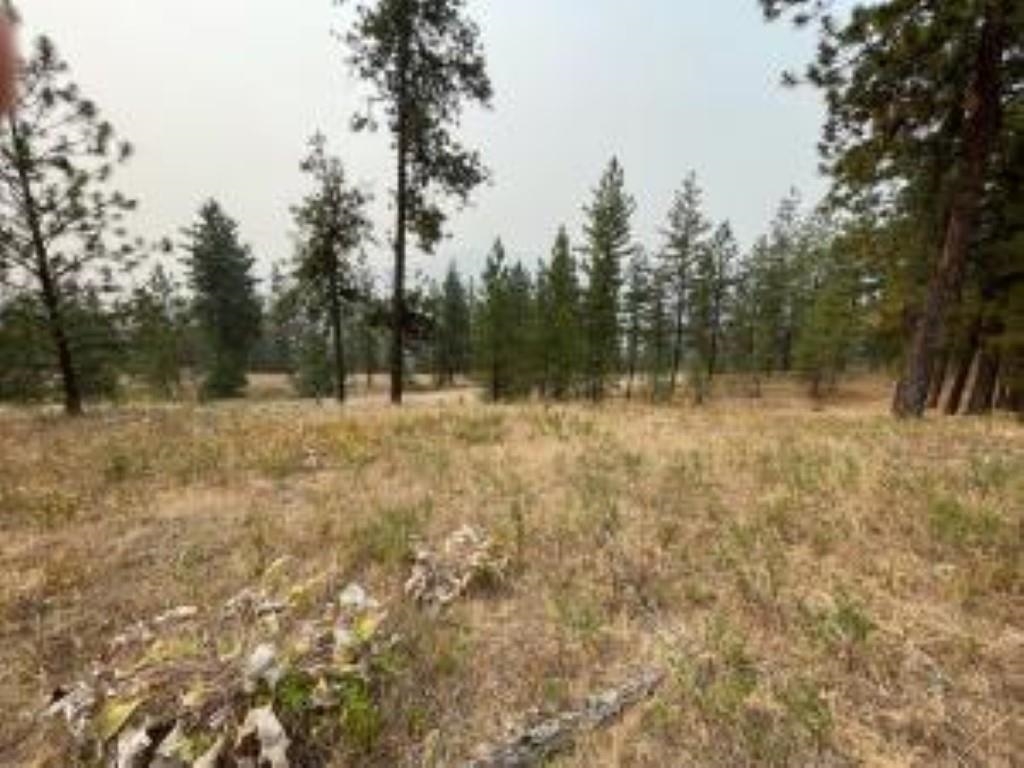 1606 PALMER Loop - Photo 4