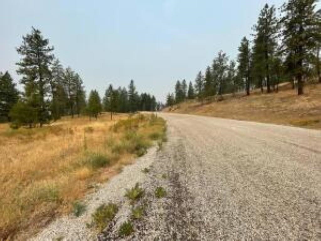 1606 PALMER Loop - Photo 5