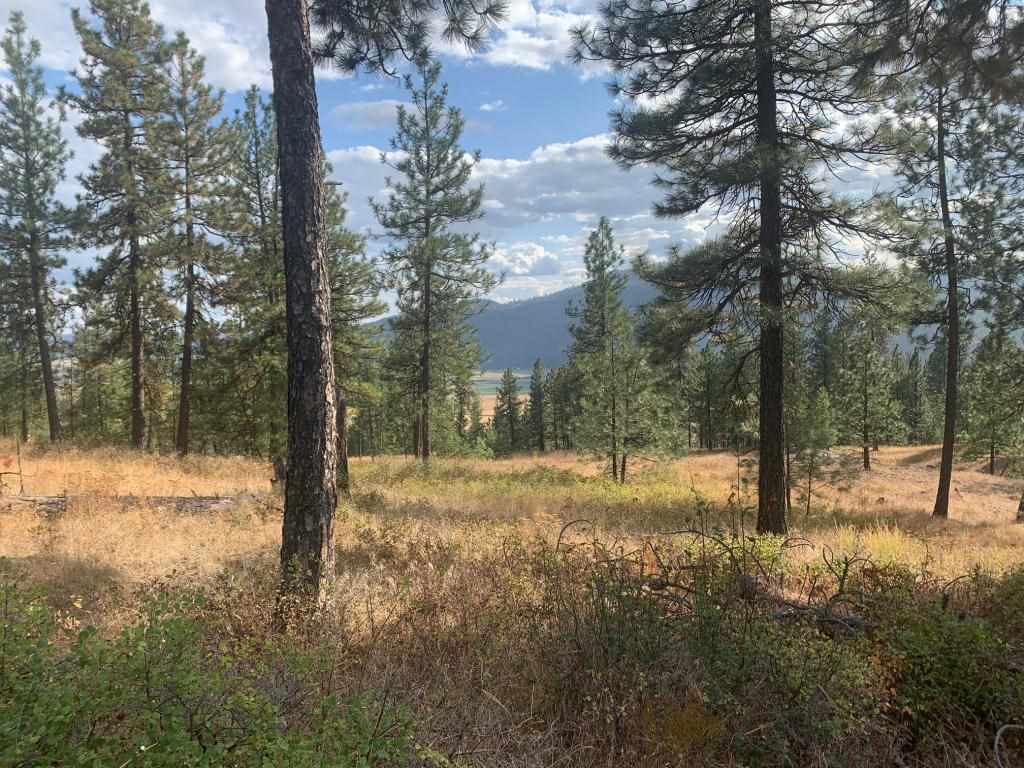 1618 Palmer Loop - Photo 1