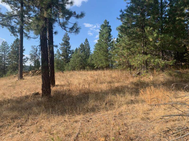 1618 Palmer Loop - Photo 3